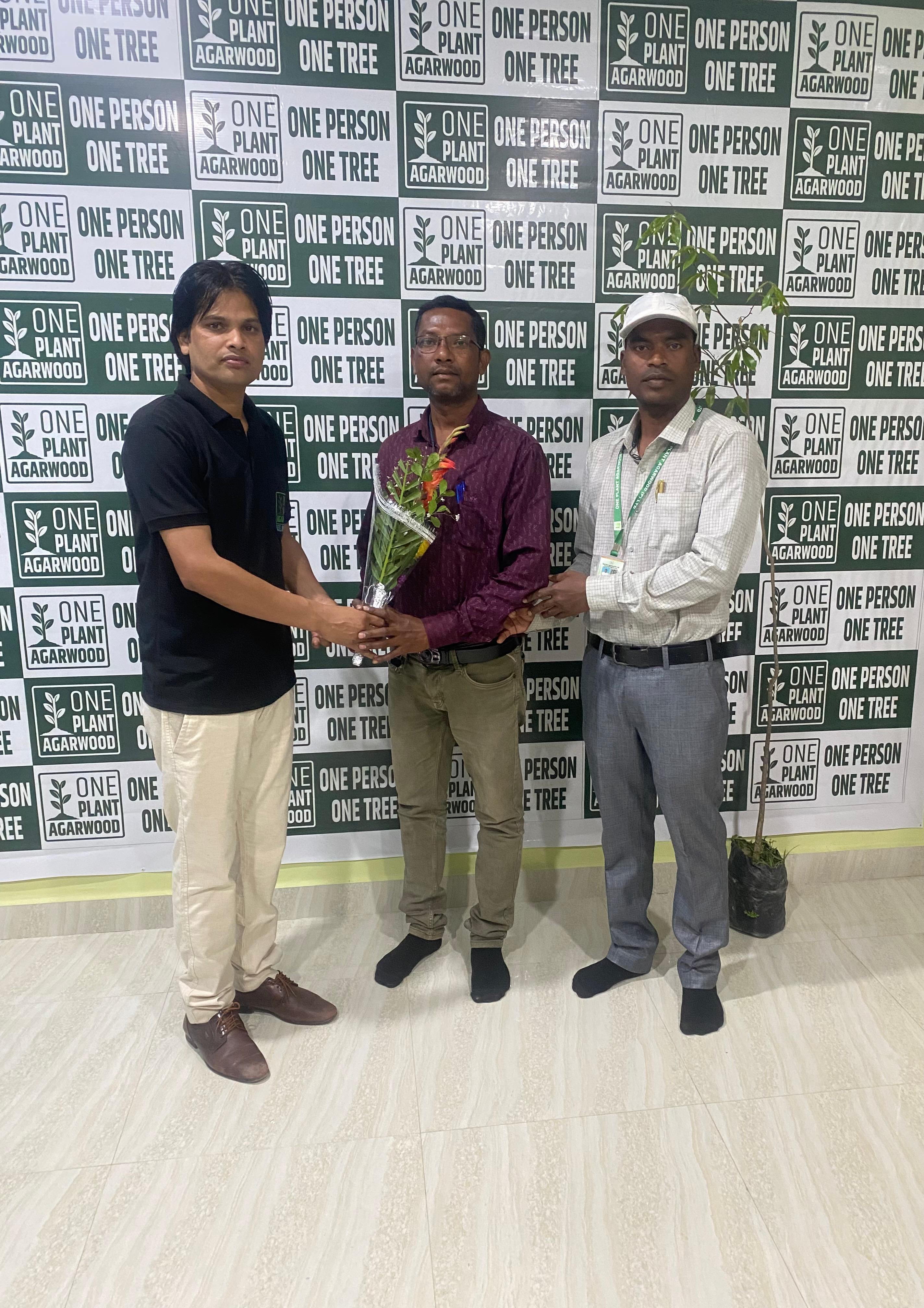 Farmer planting agarwood saplings