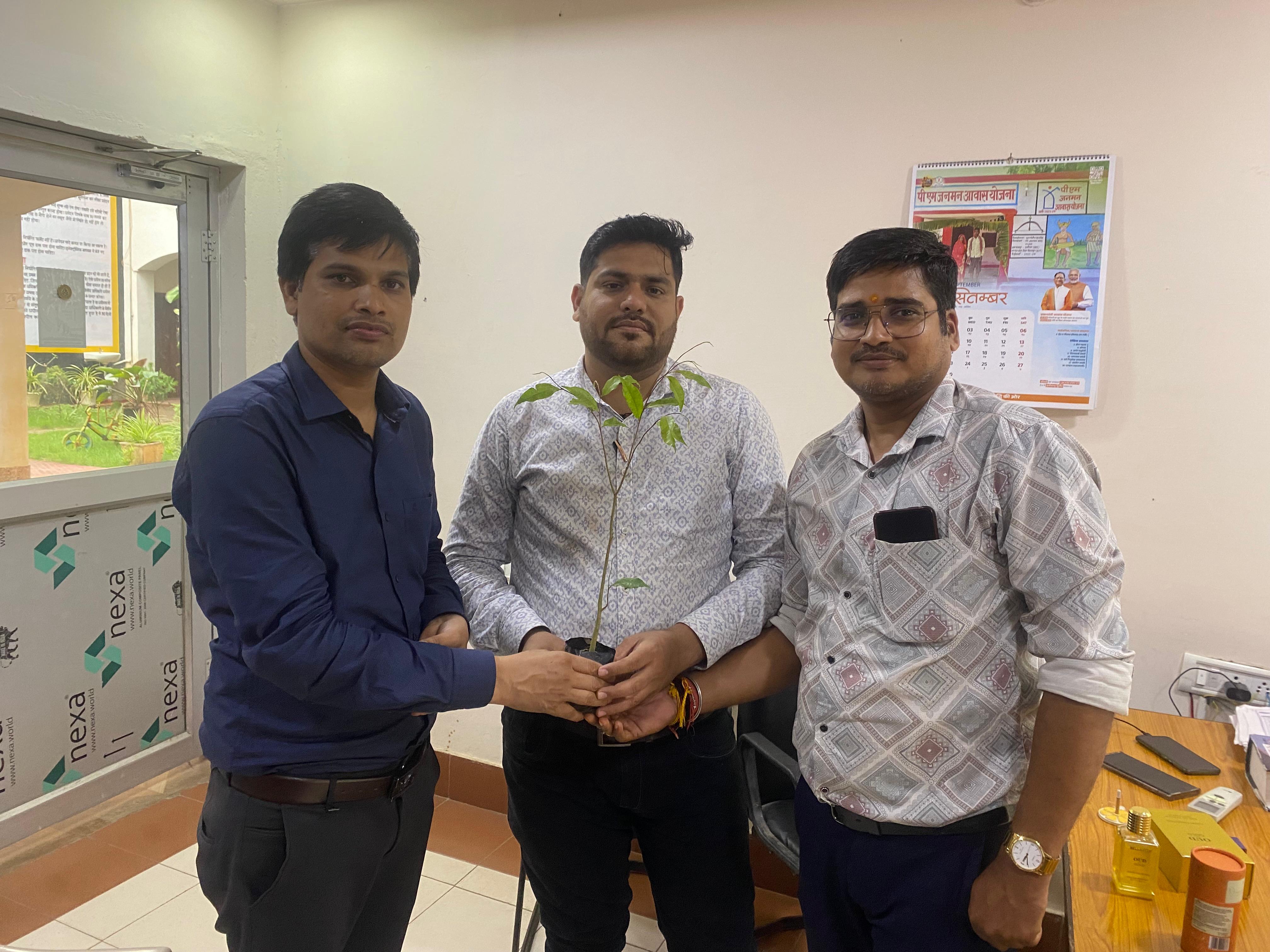 Farmer planting agarwood saplings